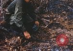 Image of 1st Infantry Division Lai Khe South Vietnam, 1968, second 43 stock footage video 65675062038