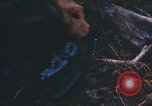 Image of 1st Infantry Division Lai Khe South Vietnam, 1968, second 52 stock footage video 65675062038
