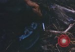 Image of 1st Infantry Division Lai Khe South Vietnam, 1968, second 53 stock footage video 65675062038
