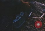 Image of 1st Infantry Division Lai Khe South Vietnam, 1968, second 55 stock footage video 65675062038