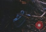 Image of 1st Infantry Division Lai Khe South Vietnam, 1968, second 56 stock footage video 65675062038