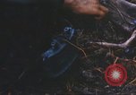Image of 1st Infantry Division Lai Khe South Vietnam, 1968, second 57 stock footage video 65675062038