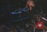 Image of 1st Infantry Division Lai Khe South Vietnam, 1968, second 62 stock footage video 65675062038