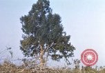Image of 1st Infantry Division Lai Khe South Vietnam, 1968, second 56 stock footage video 65675062039