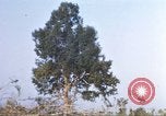 Image of 1st Infantry Division Lai Khe South Vietnam, 1968, second 57 stock footage video 65675062039