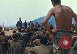 Image of catholic chaplain Vietnam, 1968, second 19 stock footage video 65675062060