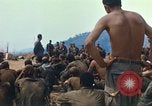 Image of catholic chaplain Vietnam, 1968, second 23 stock footage video 65675062060
