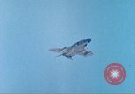 Image of F-4 Phantom II airplane North Carolina United States USA, 1974, second 3 stock footage video 65675062070