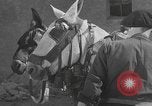 Image of Spanish villagers engaged in normal pursuits Spain, 1937, second 39 stock footage video 65675062078