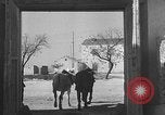 Image of Spanish villagers engaged in normal pursuits Spain, 1937, second 51 stock footage video 65675062078