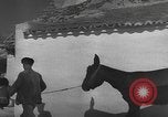 Image of Spanish villagers engaged in normal pursuits Spain, 1937, second 59 stock footage video 65675062078