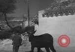 Image of Spanish villagers engaged in normal pursuits Spain, 1937, second 61 stock footage video 65675062078