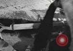 Image of Farmers plowing fields with wooden plows and horses Spain, 1937, second 4 stock footage video 65675062079