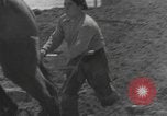 Image of Farmers plowing fields with wooden plows and horses Spain, 1937, second 6 stock footage video 65675062079