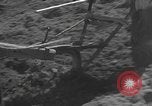 Image of Farmers plowing fields with wooden plows and horses Spain, 1937, second 7 stock footage video 65675062079