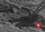 Image of Farmers plowing fields with wooden plows and horses Spain, 1937, second 10 stock footage video 65675062079