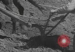 Image of Farmers plowing fields with wooden plows and horses Spain, 1937, second 11 stock footage video 65675062079