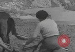 Image of Farmers plowing fields with wooden plows and horses Spain, 1937, second 12 stock footage video 65675062079