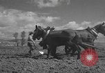 Image of Farmers plowing fields with wooden plows and horses Spain, 1937, second 26 stock footage video 65675062079