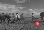 Image of Farmers plowing fields with wooden plows and horses Spain, 1937, second 29 stock footage video 65675062079