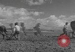 Image of Farmers plowing fields with wooden plows and horses Spain, 1937, second 30 stock footage video 65675062079