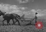 Image of Farmers plowing fields with wooden plows and horses Spain, 1937, second 35 stock footage video 65675062079