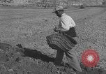 Image of Farmers plowing fields with wooden plows and horses Spain, 1937, second 40 stock footage video 65675062079