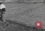 Image of Farmers plowing fields with wooden plows and horses Spain, 1937, second 43 stock footage video 65675062079