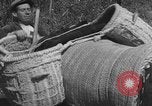 Image of Farmers plowing fields with wooden plows and horses Spain, 1937, second 51 stock footage video 65675062079