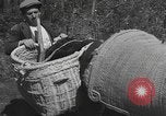 Image of Farmers plowing fields with wooden plows and horses Spain, 1937, second 52 stock footage video 65675062079