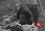 Image of Farmers plowing fields with wooden plows and horses Spain, 1937, second 54 stock footage video 65675062079