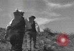Image of Farmers plowing fields with wooden plows and horses Spain, 1937, second 56 stock footage video 65675062079