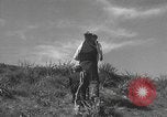 Image of Farmers plowing fields with wooden plows and horses Spain, 1937, second 61 stock footage video 65675062079