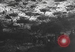 Image of Spanish civil war Spain, 1937, second 24 stock footage video 65675062080