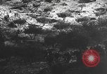 Image of Spanish civil war Spain, 1937, second 25 stock footage video 65675062080