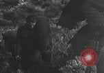 Image of Spanish civil war Spain, 1937, second 34 stock footage video 65675062080