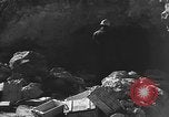 Image of Spanish civil war Spain, 1937, second 47 stock footage video 65675062080