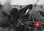 Standbild Spanischen Bürgerkrieg Schlacht von Jarama Madrid Spanien, 1937, aus Sekunde 25 historischem Filmmaterial Videoclip 65675062090