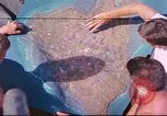 Standbild Schlacht von Iwo Jima Iwo Jima, 1945, aus Sekunde 1 historischem Filmmaterial Videoclip 65675062093