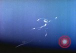 Image of Battle of Iwo Jima Iwo Jima, 1945, second 26 stock footage video 65675062100