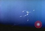 Image of Battle of Iwo Jima Iwo Jima, 1945, second 27 stock footage video 65675062100
