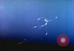 Image of Battle of Iwo Jima Iwo Jima, 1945, second 29 stock footage video 65675062100