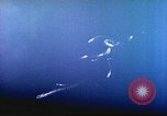 Image of Battle of Iwo Jima Iwo Jima, 1945, second 32 stock footage video 65675062100