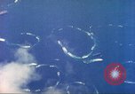 Image of Battle of Iwo Jima Iwo Jima, 1945, second 47 stock footage video 65675062100
