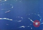 Image of Battle of Iwo Jima Iwo Jima, 1945, second 53 stock footage video 65675062100
