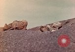 Image of Battle of Iwo Jima Iwo Jima, 1945, second 12 stock footage video 65675062107