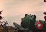 Image of Battle of Iwo Jima Iwo Jima, 1945, second 23 stock footage video 65675062111