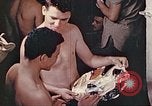 Image of Battle of Iwo Jima Iwo Jima, 1945, second 11 stock footage video 65675062115