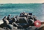 Image Bataille d'Iwo Jima Iwo Jima, 1945, de la seconde 51 séquences d'archives historiques vidéo 65675062119