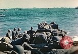 Image Bataille d'Iwo Jima Iwo Jima, 1945, de la seconde 54 séquences d'archives historiques vidéo 65675062119